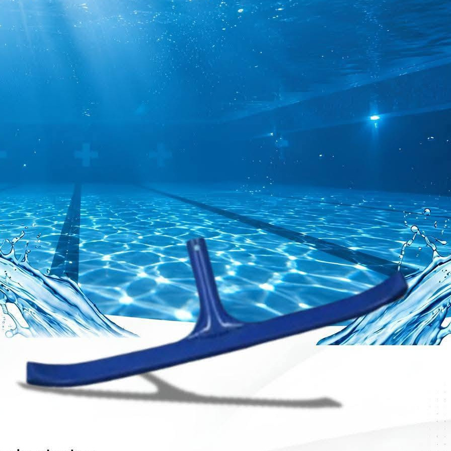 Brosse de paroi AP